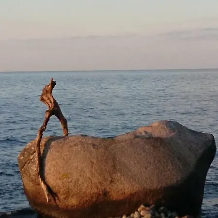 Schwarbylon * Schwarbe