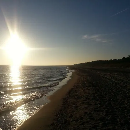 Schwarbylon Schwarbe