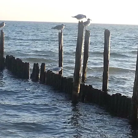 Schwarbylon Semesterbostad Schwarbe